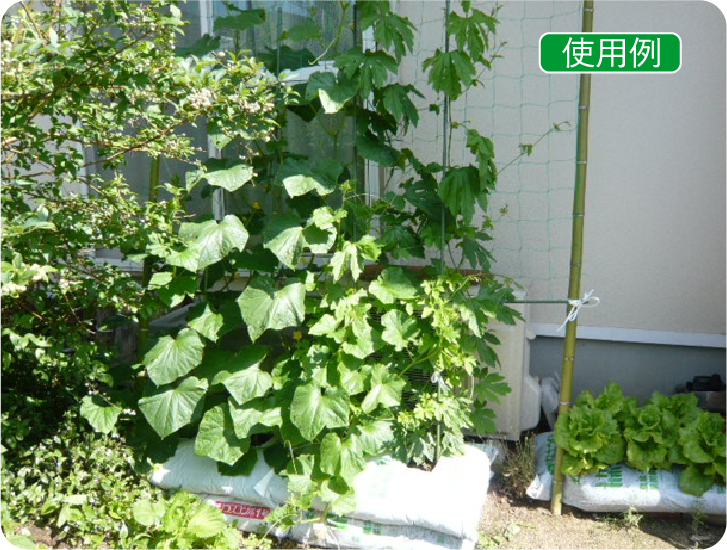 使用例